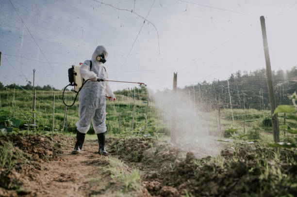 Best Best Pest Control Companies  in Sweet Home, AR
