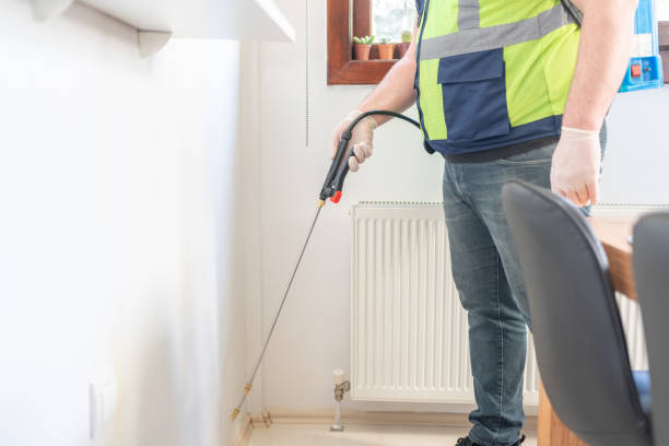 Best Flea Control Services  in Sweet Home, AR