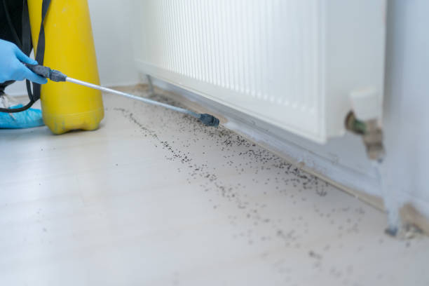 Best Best Pest Control Companies  in Sweet Home, AR