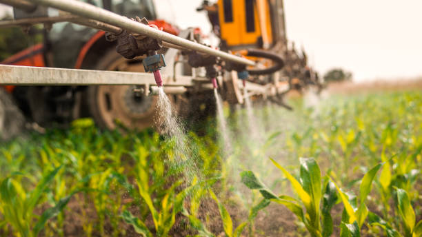 Best Pest Control for Homes  in Sweet Home, AR